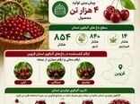 طعم ناب طبیعت از باغ‌های استان قزوین