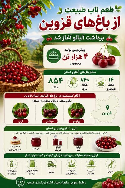طعم ناب طبیعت از باغ‌های استان قزوین