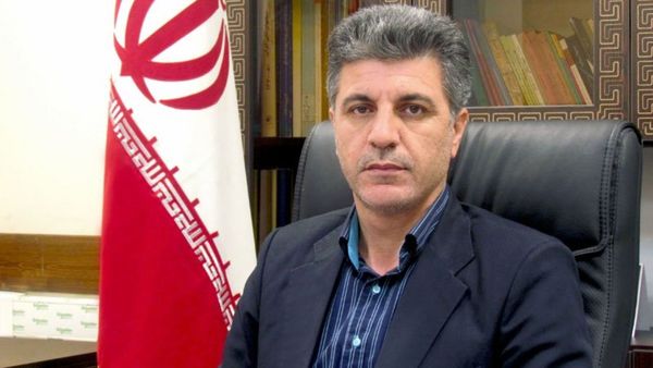 100هزار تن پنبه محلوج در سال جاری تولید می‌شود/پیشنهاد تخصیص کود یارانه‌ای به کشت پنبه