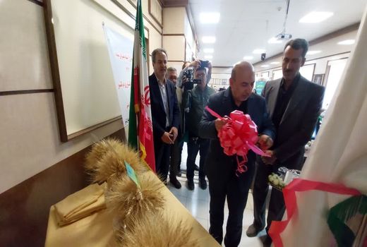 رونمایی از هشت رقم بذر جدید موسسه تحقیقات کشاورزی دیم کشور در مراغه