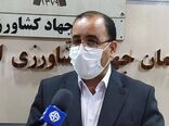خسارت سه برابری خشکسالی نسبت به سیل ۹۸ به کشاورزی استان
