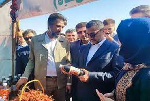 آغاز جشنواره ملی زرشک در روستای محمد آباد علم شهرستان قائنات