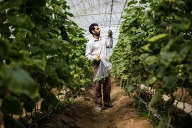 عقد قرارداد پرداخت تسهیلات به بزرگترین واحد گلخانه در چهارمحال و بختیاری