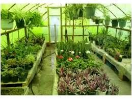 صدور الکترونیک 100 مجوز گلخانه در ساری