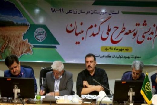 گندم بنیان خوزستان، بنیان گندم کشور