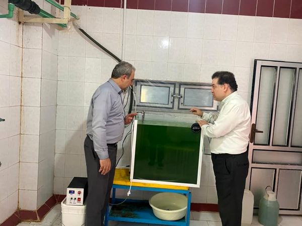راهاندازی دستگاه برداشت ریزجلبک دونالیلا گامی مهم در توسعه بیوتکنولوژی دریایی