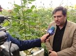بهره‌برداری 45 پروژه وطرح کشاورزی در هفته دولت در استان چهارمحال وبختیاری 