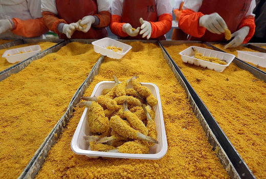 میگو خیلی زود فاسد می‌شود