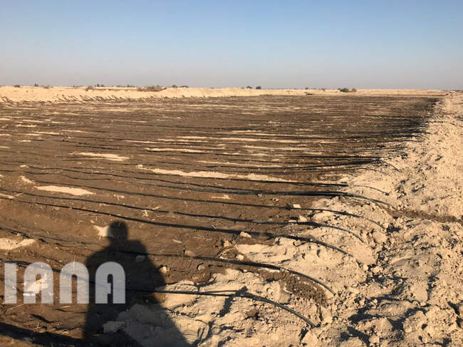 سفر وزیر جهاد کشاورزی به سیستان