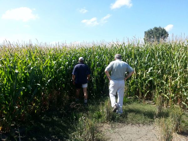 از جهنم آپارتاید تا مزارع سبز