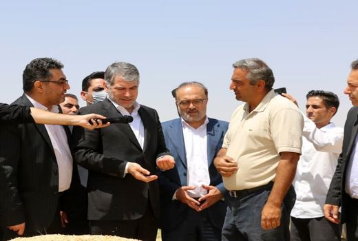 خداقوت وزیر جهاد کشاورزی به گندم کاران در بازدید از مزارع گندم بیجار