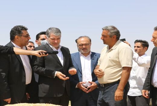 خداقوت وزیر جهاد کشاورزی به گندم کاران در بازدید از مزارع گندم بیجار