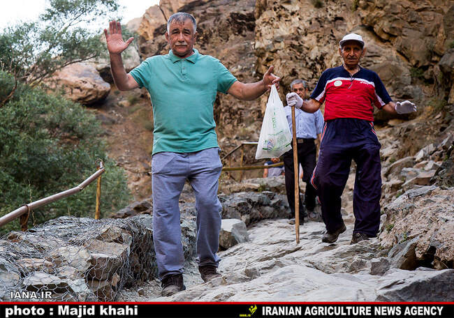 کوه پیمایی