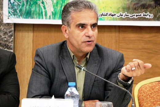 ۸۵۰ هزار تن گوجه‌فرنگی در ۲۴ روز جذب صنایع تبدیلی شد/صنایع تبدیلی کشاورزی، نجات‌دهنده محصولات از خام‌فروشی