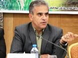 ۸۵۰ هزار تن گوجه‌فرنگی در ۲۴ روز جذب صنایع تبدیلی شد/صنایع تبدیلی کشاورزی، نجات‌دهنده محصولات از خام‌فروشی