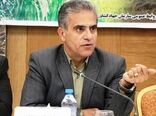 ۸۵۰ هزار تن گوجه‌فرنگی در ۲۴ روز جذب صنایع تبدیلی شد/صنایع تبدیلی کشاورزی، نجات‌دهنده محصولات از خام‌فروشی