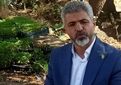 بذرهای سبزی و صیفی پیش از ورود به مزارع از فیلتر ارزیابی دوساله عبور می‌کنند