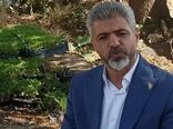 بذرهای سبزی و صیفی پیش از ورود به مزارع از فیلتر ارزیابی دوساله عبور می‌کنند
