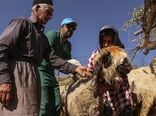 آغاز احیای ماموریت‌های جهاد سازندگی در چهارمحال وبختیاری