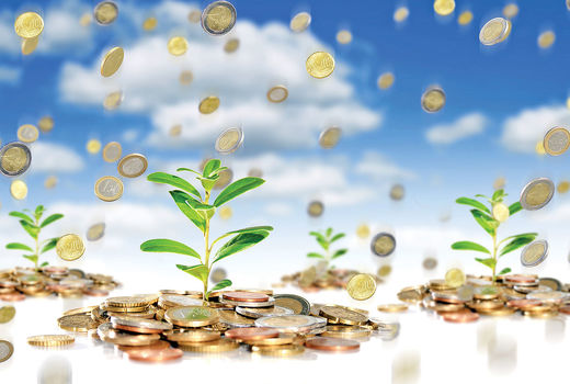 توسعه همکاری میان صندوق بیمه کشاورزی و سازمان مدیریت بحران کشور