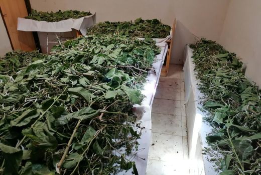 نوغانداری اشتغالی خانوادگی در چهارمحال و بختیاری 