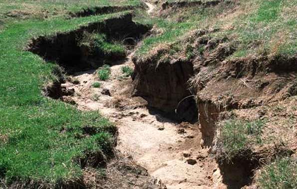 پخش رایگان برنامه‌های مقابله با آلودگی و تخریب خاک، تکلیف جدید صدا وسیما