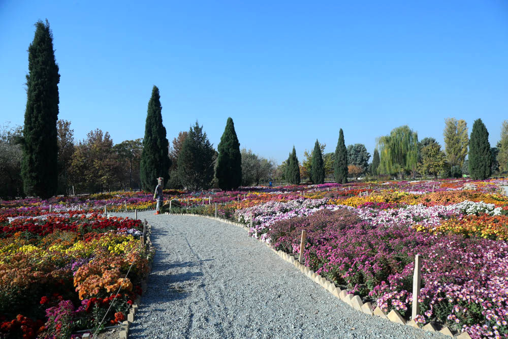 بازدید تور رسانه ای از باغ ملی گیاه شناسی ایران                   