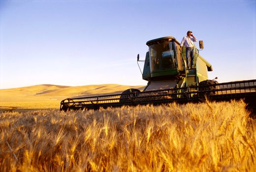 قزاقستان غول کشاورزی آسیای مرکزی