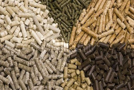 سهم 16 درصدی فارس از صادرات خوراک آبزیان