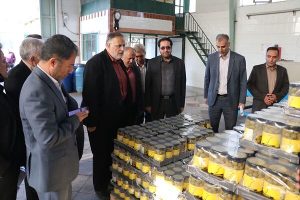 بازدید استاندار قزوین از یک واحد تولیدی فراوری زیتون در طارم سفلی