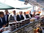 تجلی توانمندی‌های کشاورزی در «برکت سرخ» نظرلو با حضور رئیس سازمان امور اراضی کشور