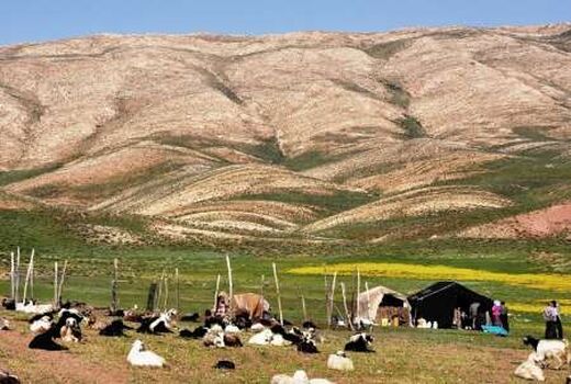  «روز ملی مرتع و مرتعداری» در مسیر ثبت در تقویم ملی قرار گرفت/ مرتع؛ جلوه بصری دوستی طبیعت و فرهنگ
