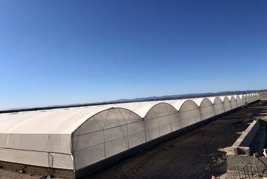 در ایام الله دهه فجر با حضور معاون استاندار و فرماندار شهرستان زرندیک طرح گلخانه در این شهرستان افتتاح شد.