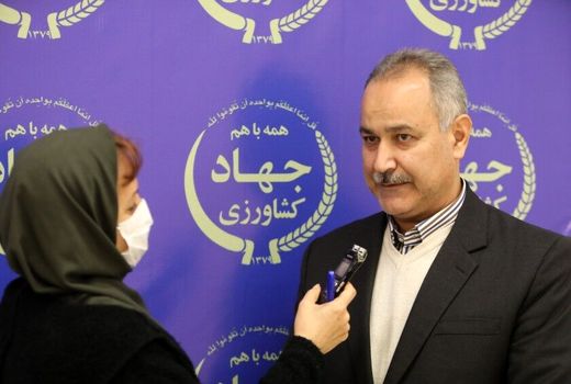 اجرای کشاورزی حفاظتی در 7.5 میلیون هکتار از اراضی کشاورزی 