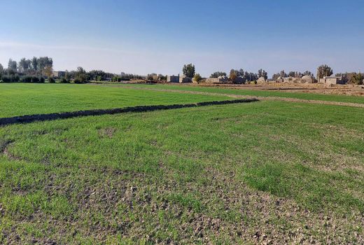 آبگیری بیش از 56 هزار هکتاری اراضی کشاورزی دشت سیستان