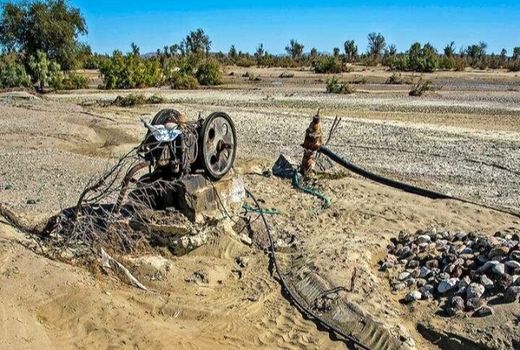 سیلاب به 250 هکتار از زمینهای کشاورزی سقز خسارت وارد کرد