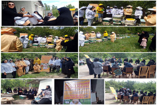 کارگاه منطقه‌ای آموزش عملی پرورش ملکه و تهیه ژل رویال در شهرستان جلفا برگزار شد