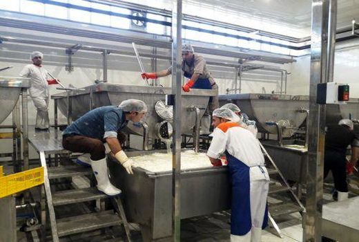 خط تولید پنیر پیتزا در چهارمحال و بختیاری راه‌اندازی شد