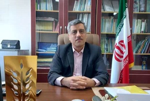 کشت گیاه دارویی «زیره » در استان بوشهر تقویت می‌شود