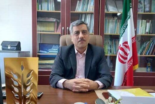 کشت گیاه دارویی «زیره » در استان بوشهر تقویت می‌شود