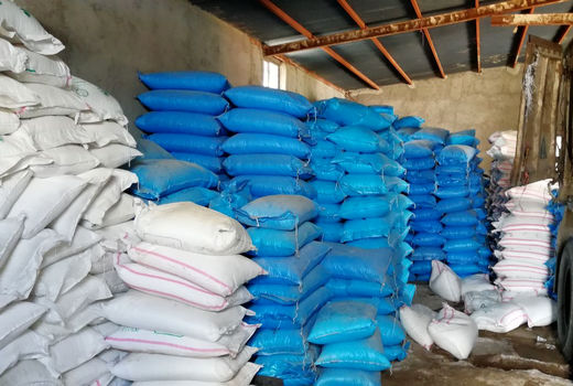 توزیع ۲۸ هزار و ۶۲۶ تن کود شیمیایی بین کشاورزان قزوین