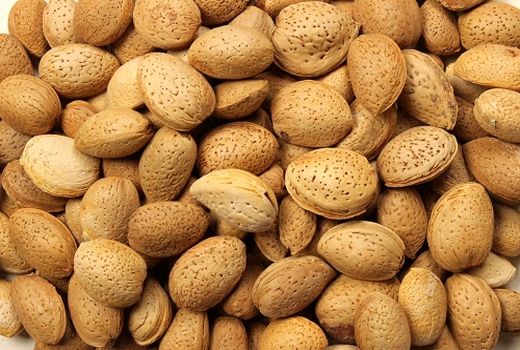 کار برداشت بادام در سپیدان به پایان رسید