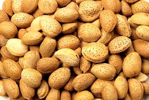 کار برداشت بادام در سپیدان به پایان رسید