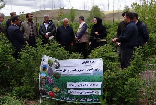 برگزاری دوره مهارتی اصول پرورش و نگهداری گل محمدی در شهرستان هریس