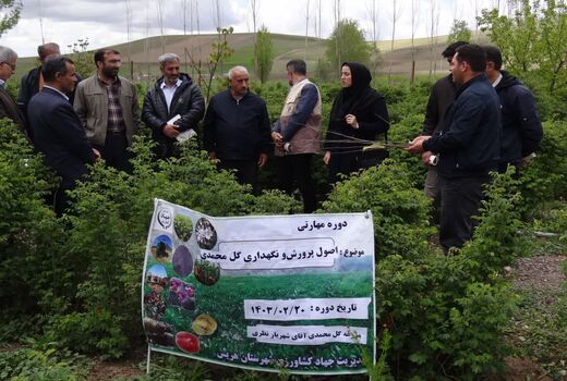 برگزاری دوره مهارتی اصول پرورش و نگهداری گل محمدی در شهرستان هریس