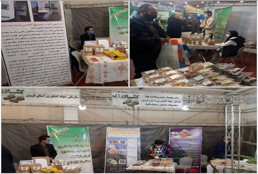 عرضه بیش از دو تن محصول سالم در دوازدهمین نمایشگاه تخصصی کشاورزی استان قزوین