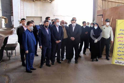 پیش‌بینی تولید 14.5 میلیون تن گندم در کشور  