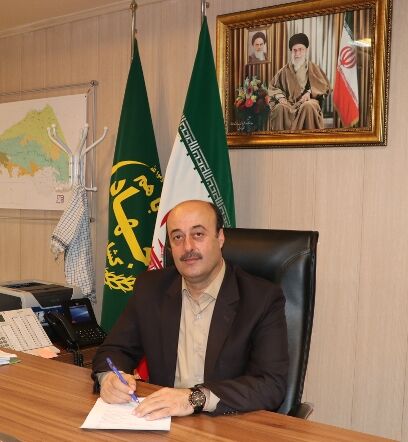 در یک هفته آتی شاهد کاهش چشمگیر قیمت مرغ خواهیم بود.