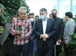 بازدید وزیر جهاد کشاورزی از گلخانه ای با تولید ۱۴۰گونه بن سای در شهرستان اسلامشهر