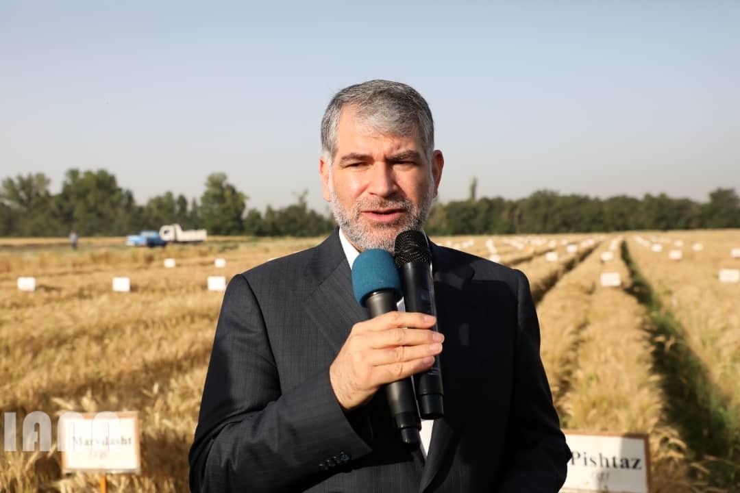 WhatsApp Image 2022-06-14 at 10.06.32 AM (1)